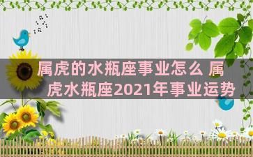 属虎的水瓶座事业怎么 属虎水瓶座2021年事业运势